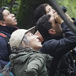 Gestión Social Empresarial