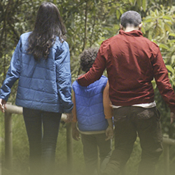 Gestión comunitaria