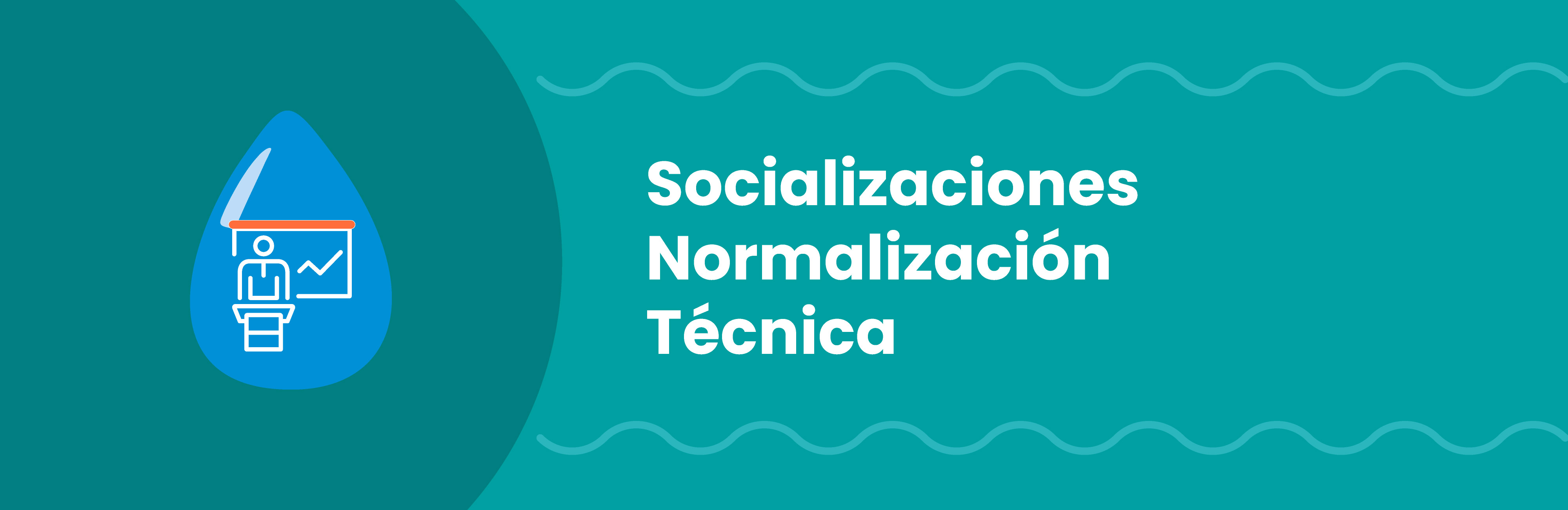 Socialización