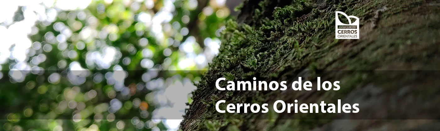 Caminos de los Cerros Orientales