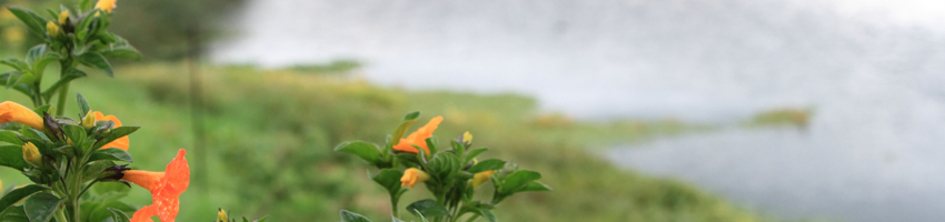 Protección de zonas de manejo especial