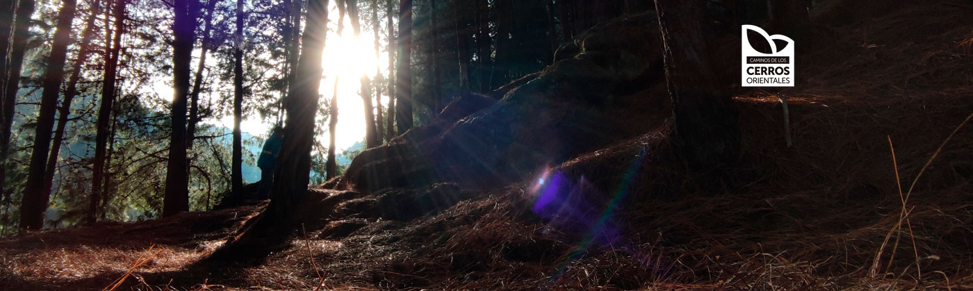 Santa Ana La Aguadora