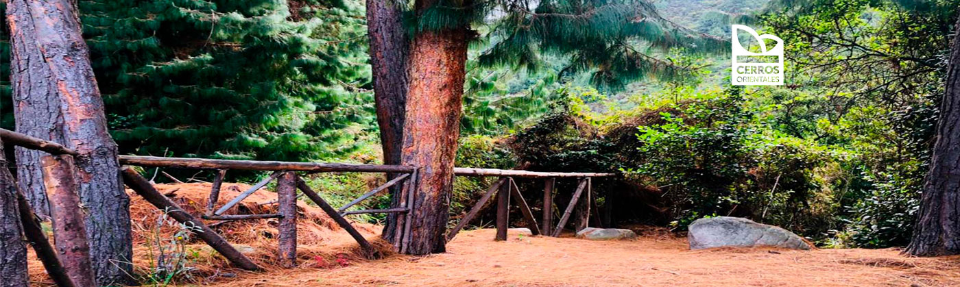 Sendero Quebrada La Vieja