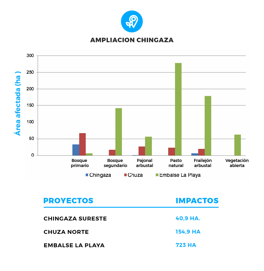 Coberturas vegetales afectadas por las obras de expansión